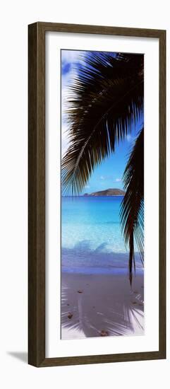 Palm Tree on the Beach, Maho Bay, Virgin Islands National Park, St. John, Us Virgin Islands-null-Framed Photographic Print