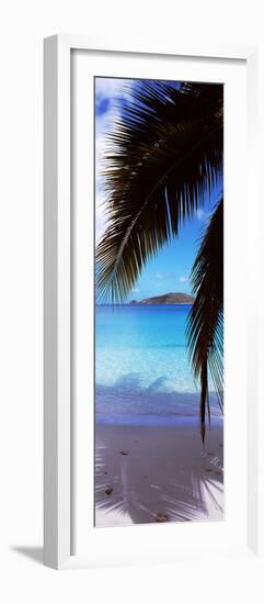 Palm Tree on the Beach, Maho Bay, Virgin Islands National Park, St. John, Us Virgin Islands-null-Framed Photographic Print