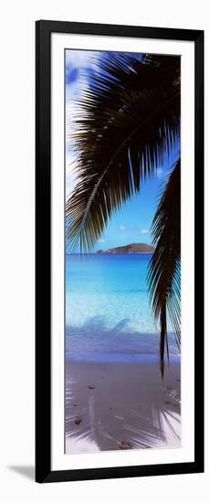 Palm Tree on the Beach, Maho Bay, Virgin Islands National Park, St. John, Us Virgin Islands-null-Framed Photographic Print