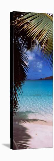 Palm Tree on the Beach, Maho Bay, Virgin Islands National Park, St. John, Us Virgin Islands-null-Stretched Canvas