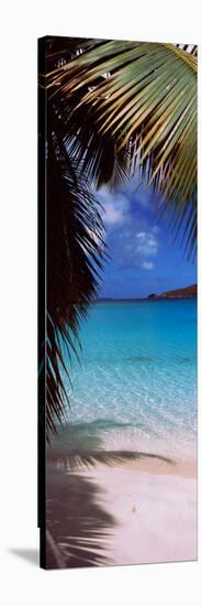 Palm Tree on the Beach, Maho Bay, Virgin Islands National Park, St. John, Us Virgin Islands-null-Stretched Canvas