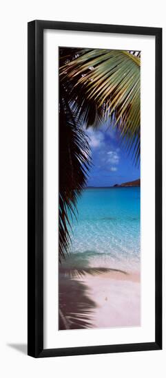 Palm Tree on the Beach, Maho Bay, Virgin Islands National Park, St. John, Us Virgin Islands-null-Framed Photographic Print