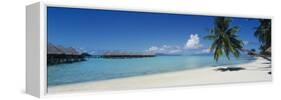 Palm Tree on the Beach, Moana Beach, Bora Bora, Tahiti, French Polynesia-null-Framed Stretched Canvas