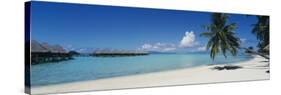 Palm Tree on the Beach, Moana Beach, Bora Bora, Tahiti, French Polynesia-null-Stretched Canvas