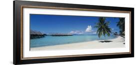 Palm Tree on the Beach, Moana Beach, Bora Bora, Tahiti, French Polynesia-null-Framed Photographic Print