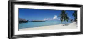 Palm Tree on the Beach, Moana Beach, Bora Bora, Tahiti, French Polynesia-null-Framed Photographic Print