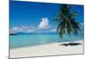 Palm Tree On The Beach, Moana Beach, Bora Bora, Tahiti, French Polynesia-null-Mounted Photographic Print