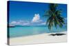 Palm Tree On The Beach, Moana Beach, Bora Bora, Tahiti, French Polynesia-null-Stretched Canvas