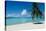 Palm Tree On The Beach, Moana Beach, Bora Bora, Tahiti, French Polynesia-null-Stretched Canvas