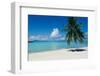 Palm Tree On The Beach, Moana Beach, Bora Bora, Tahiti, French Polynesia-null-Framed Photographic Print