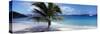 Palm Tree on the Beach, Salomon Beach, Virgin Islands National Park, St. John, US Virgin Island-null-Stretched Canvas