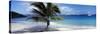 Palm Tree on the Beach, Salomon Beach, Virgin Islands National Park, St. John, US Virgin Island-null-Stretched Canvas