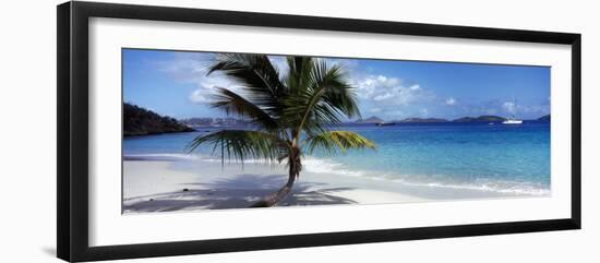 Palm Tree on the Beach, Salomon Beach, Virgin Islands National Park, St. John, US Virgin Island-null-Framed Photographic Print