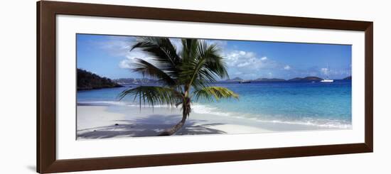 Palm Tree on the Beach, Salomon Beach, Virgin Islands National Park, St. John, US Virgin Island-null-Framed Photographic Print