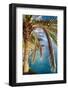 Palm Tree on the Hillside, Vernazza, Italy-George Oze-Framed Photographic Print