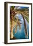 Palm Tree on the Hillside, Vernazza, Italy-George Oze-Framed Photographic Print