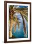 Palm Tree on the Hillside, Vernazza, Italy-George Oze-Framed Photographic Print