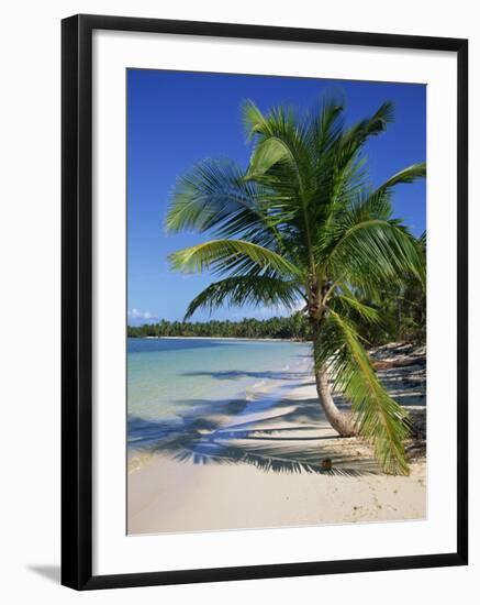 Palm Tree on Tropical Bavaro Beach, Dominican Republic, West Indies, Caribbean, Central America-Lightfoot Jeremy-Framed Photographic Print