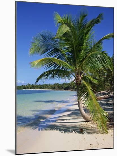 Palm Tree on Tropical Bavaro Beach, Dominican Republic, West Indies, Caribbean, Central America-Lightfoot Jeremy-Mounted Photographic Print