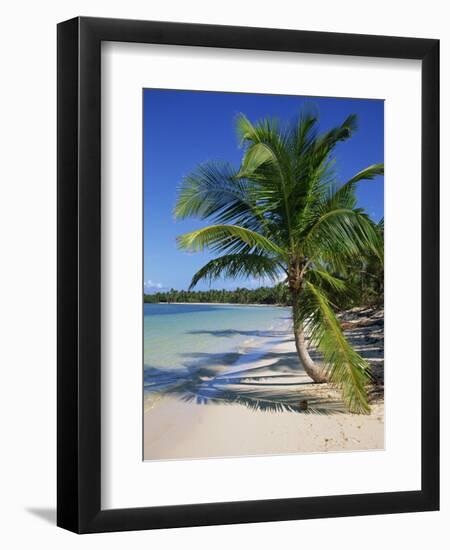 Palm Tree on Tropical Bavaro Beach, Dominican Republic, West Indies, Caribbean, Central America-Lightfoot Jeremy-Framed Photographic Print