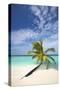 Palm Tree on Tropical Beach, Maldives, Indian Ocean, Asia-Sakis-Stretched Canvas