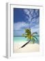 Palm Tree on Tropical Beach, Maldives, Indian Ocean, Asia-Sakis-Framed Photographic Print