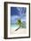 Palm Tree on Tropical Beach, Maldives, Indian Ocean, Asia-Sakis-Framed Photographic Print