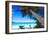 Palm Tree on Trunk Bay Beach, USVI-George Oze-Framed Photographic Print