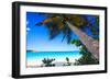 Palm Tree on Trunk Bay Beach, USVI-George Oze-Framed Photographic Print