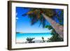 Palm Tree on Trunk Bay Beach, USVI-George Oze-Framed Photographic Print