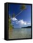 Palm Tree over Sandy Channel at Marovo Lagoon, Solomon Islands, Pacific Islands, Pacific-Murray Louise-Framed Stretched Canvas