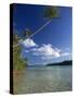 Palm Tree over Sandy Channel at Marovo Lagoon, Solomon Islands, Pacific Islands, Pacific-Murray Louise-Stretched Canvas