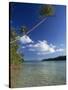 Palm Tree over Sandy Channel at Marovo Lagoon, Solomon Islands, Pacific Islands, Pacific-Murray Louise-Stretched Canvas