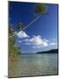 Palm Tree over Sandy Channel at Marovo Lagoon, Solomon Islands, Pacific Islands, Pacific-Murray Louise-Mounted Photographic Print