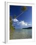 Palm Tree over Sandy Channel at Marovo Lagoon, Solomon Islands, Pacific Islands, Pacific-Murray Louise-Framed Photographic Print