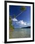 Palm Tree over Sandy Channel at Marovo Lagoon, Solomon Islands, Pacific Islands, Pacific-Murray Louise-Framed Photographic Print