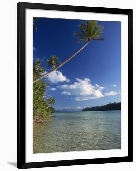 Palm Tree over Sandy Channel at Marovo Lagoon, Solomon Islands, Pacific Islands, Pacific-Murray Louise-Framed Photographic Print