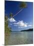 Palm Tree over Sandy Channel at Marovo Lagoon, Solomon Islands, Pacific Islands, Pacific-Murray Louise-Mounted Photographic Print