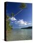 Palm Tree over Sandy Channel at Marovo Lagoon, Solomon Islands, Pacific Islands, Pacific-Murray Louise-Stretched Canvas