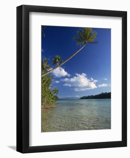 Palm Tree over Sandy Channel at Marovo Lagoon, Solomon Islands, Pacific Islands, Pacific-Murray Louise-Framed Photographic Print