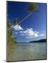 Palm Tree over Sandy Channel at Marovo Lagoon, Solomon Islands, Pacific Islands, Pacific-Murray Louise-Mounted Photographic Print