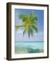 Palm Tree Overhanging the Sea, Kuda Bandos, North Male Atoll, the Maldives, Indian Ocean-Lee Frost-Framed Photographic Print