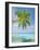 Palm Tree Overhanging the Sea, Kuda Bandos, North Male Atoll, the Maldives, Indian Ocean-Lee Frost-Framed Photographic Print