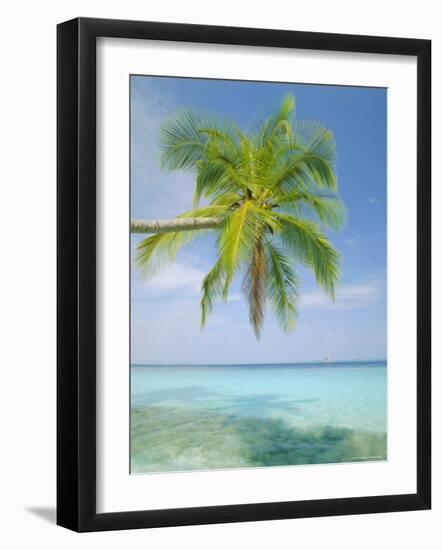 Palm Tree Overhanging the Sea, Kuda Bandos, North Male Atoll, the Maldives, Indian Ocean-Lee Frost-Framed Photographic Print