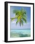 Palm Tree Overhanging the Sea, Kuda Bandos, North Male Atoll, the Maldives, Indian Ocean-Lee Frost-Framed Photographic Print