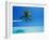 Palm Tree Overhanging the Sea, Male Atoll, Maldives, Indian Ocean-Papadopoulos Sakis-Framed Photographic Print