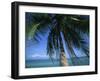 Palm Tree Overhanging Turquoise Waters at Koh Samui, Thailand, Southeast Asia-Dominic Harcourt-webster-Framed Photographic Print