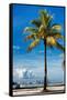 Palm Tree overlooking Downtown Miami - Florida-Philippe Hugonnard-Framed Stretched Canvas