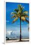 Palm Tree overlooking Downtown Miami - Florida-Philippe Hugonnard-Framed Photographic Print