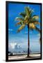 Palm Tree overlooking Downtown Miami - Florida-Philippe Hugonnard-Framed Photographic Print